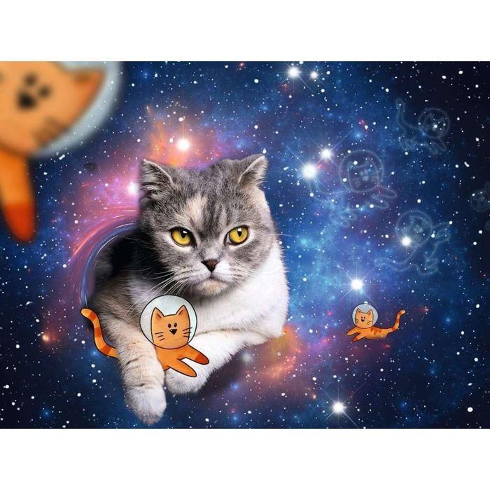 Puzzle - chats volant dans l'espace