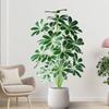 Large Size Artificial Monstera Tree Plastic Material Plastic Shrub Leaves  For Home Decor