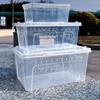 Transparent Turtle Transport Container Stackable Animal Habitat Cage  Beetle Insect Habitat