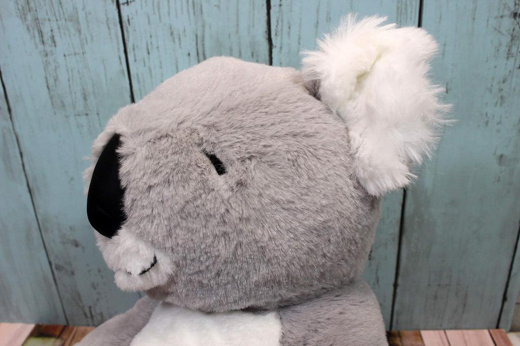 Shinada Withz Koala Plush 9 x 2 x Animal Toy, 15.5 cm, Merchandise, WZZK-0350