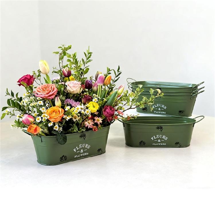 Modern Oval Iron Plant Pot Container With Reinforced Handle Rustproof Suitable For Indoor Outdoor Greeneries Arrangement