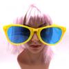 Oversized Party Props Plastic Funny Glasses Music Festival Photo Props  Hawaii Tropical Party