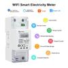 Jednofázový Din Rail WIFI Chytrý měřič spotřeby energie Měřič spotřeby energie KWh Watt Metr s Alexa pro chytrou domácnost
