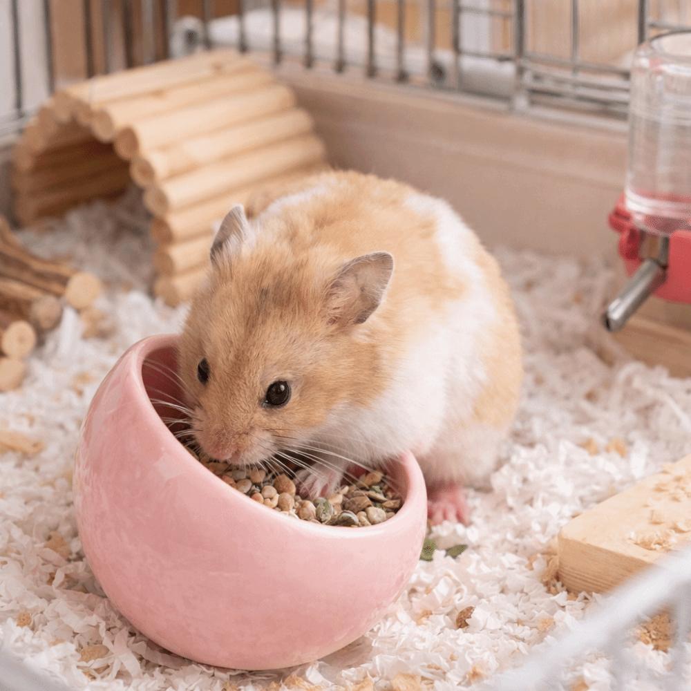 Non-Slip Hamster Food Bowl Ceramic Pet Feeding Bowl Pet Feeder Water Food Bowl  For Small Pets