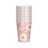 Small Daisy Disposable Tableware for Birthday Party Decorations