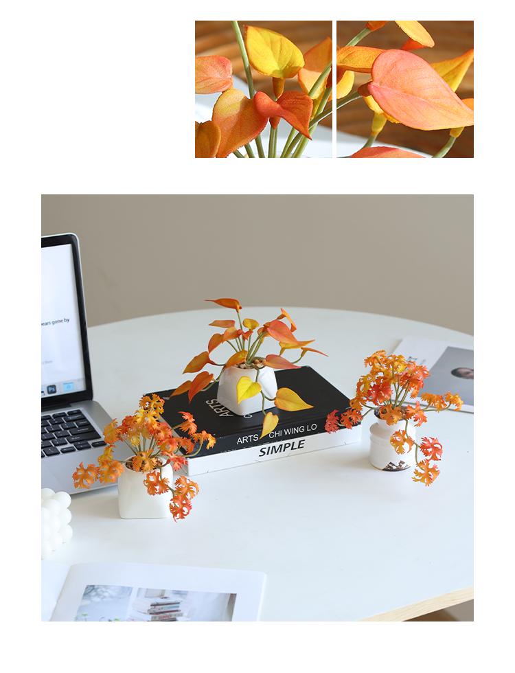 Miniature Succulent Bonsai Desk Ornament: Green Plant Props for Home or Office Decor