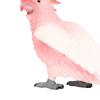 Simulated Bird Model Figure Children Static Bird Figurine Collection Educational Toy Birthday Gift