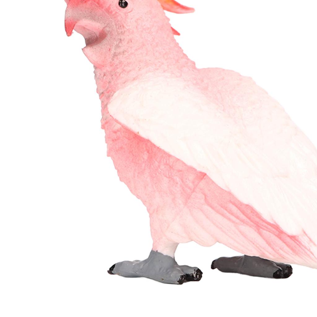 Simulated Bird Model Figure Children Static Bird Figurine Collection Educational Toy Birthday Gift