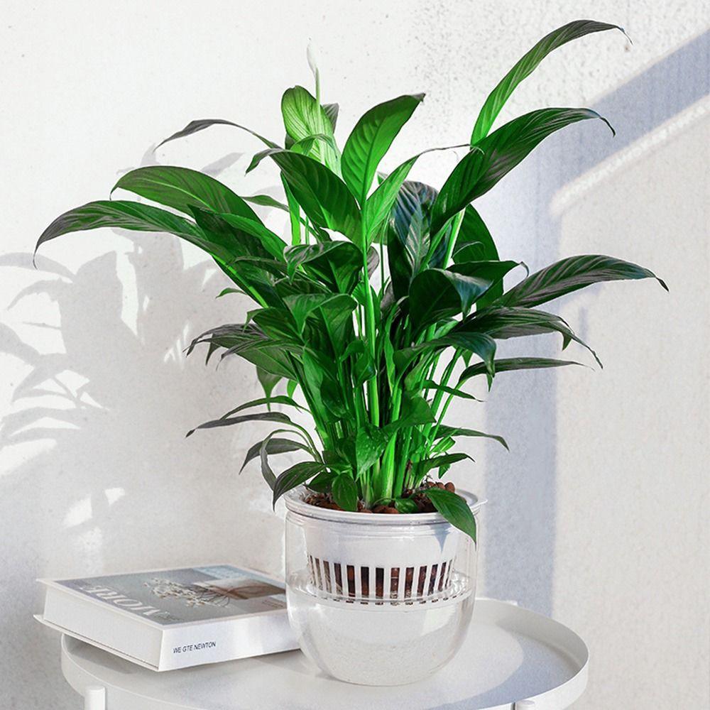 Selbstbewässernder Hydrokultur-Pflanztopf inklusive Liner-Erde-Blumentopf Neuer Topfblumentopf