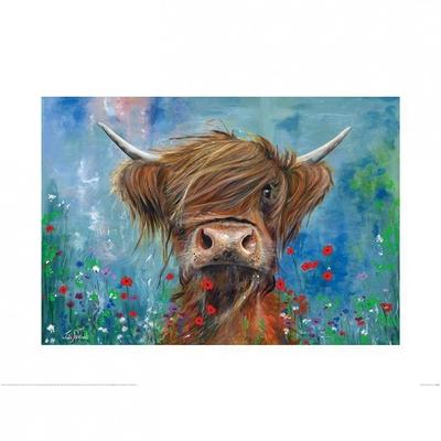 Pôster Julia Pankhurst Bruce