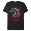 2026 Movie House Of The Dragon Graphic Tshirt Cotton Mens Womens Y2k Popular Oversized Funny Tshirt Streetwear Casual Tee
