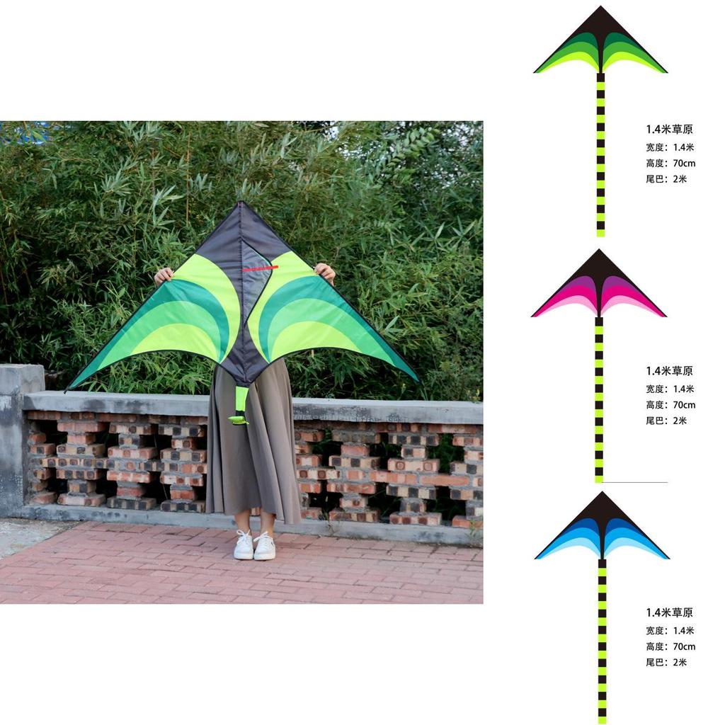 Neuer Großer Wiesen-Drachen Drachen für Erwachsene Outdoor-Unterhaltung Bunte Handgefertigte Glasfaserstange Moderner Schlichter Stil