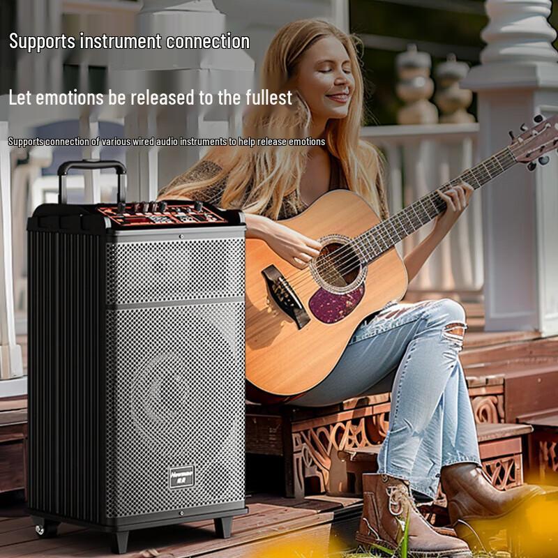 Newmine N520 Portable 12-inch Bluetooth Karaoke Speaker