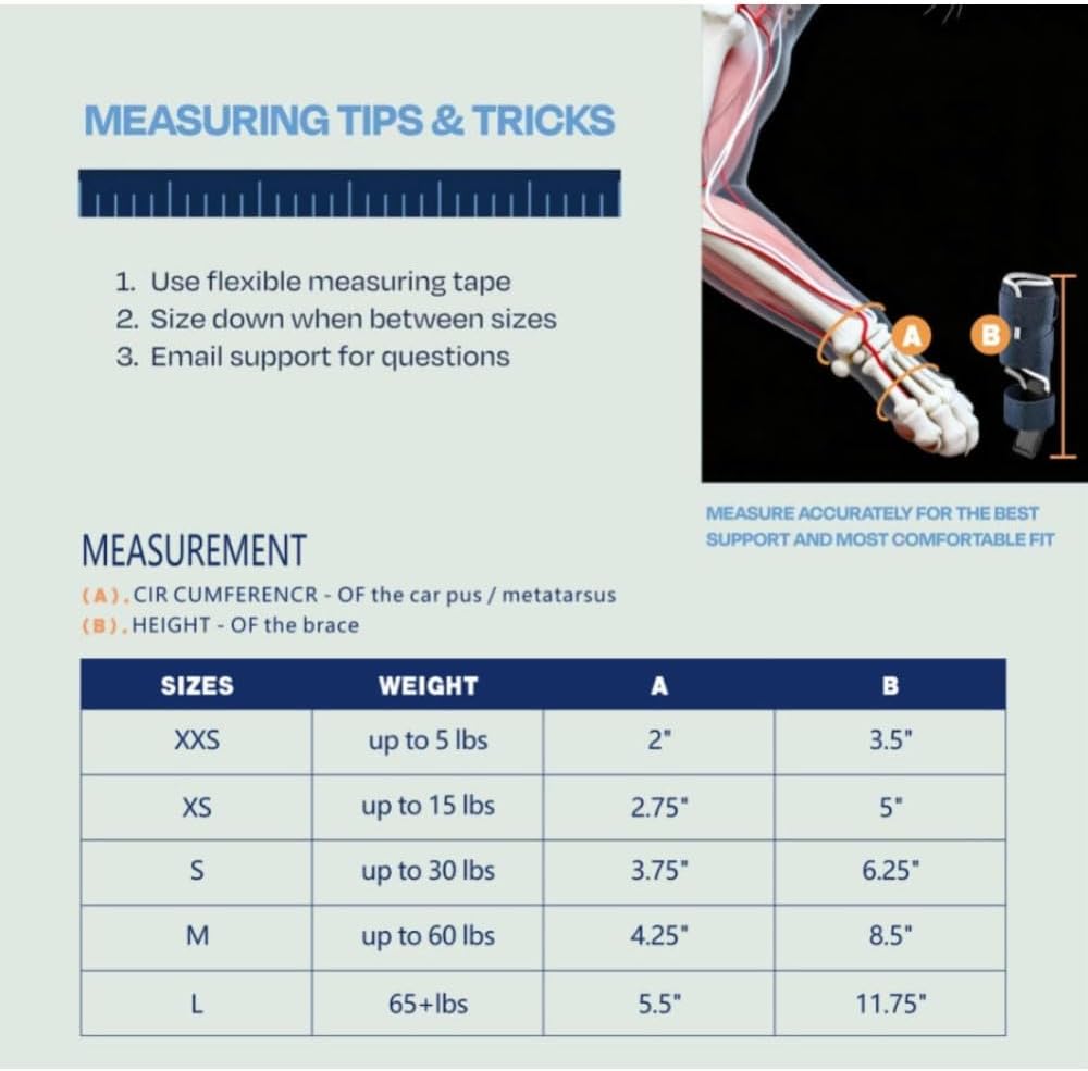 Verstellbare Katzenbeinbandage mit abnehmbarer Schiene – Für Karpal-/Tarsalverletzungen, Verstauchungen & Brüche – Vorder- oder Hinterbeine