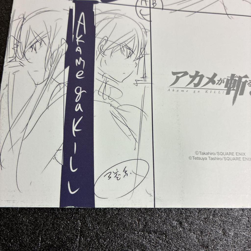 [USED] Akame ga Kill! Toranoana Purchase Bonus 4-page Rough Art Book Rare Esdeath