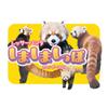 TRY-X Red Panda Striped Tail 2027 Wall Calendar 42x30cm 27CL-386