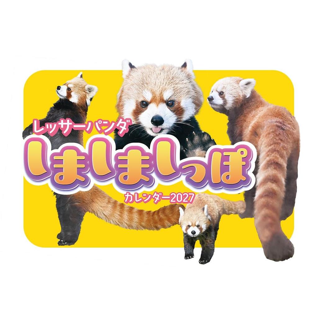 TRY-X Red Panda Striped Tail 2027 Wall Calendar 42x30cm 27CL-386