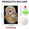 DIY Owl Pearl Art Painting for Adults/Beginners Gift Home Decor Pearl Gem Paintings Picture Arts Craft 30x40cm Without Frame