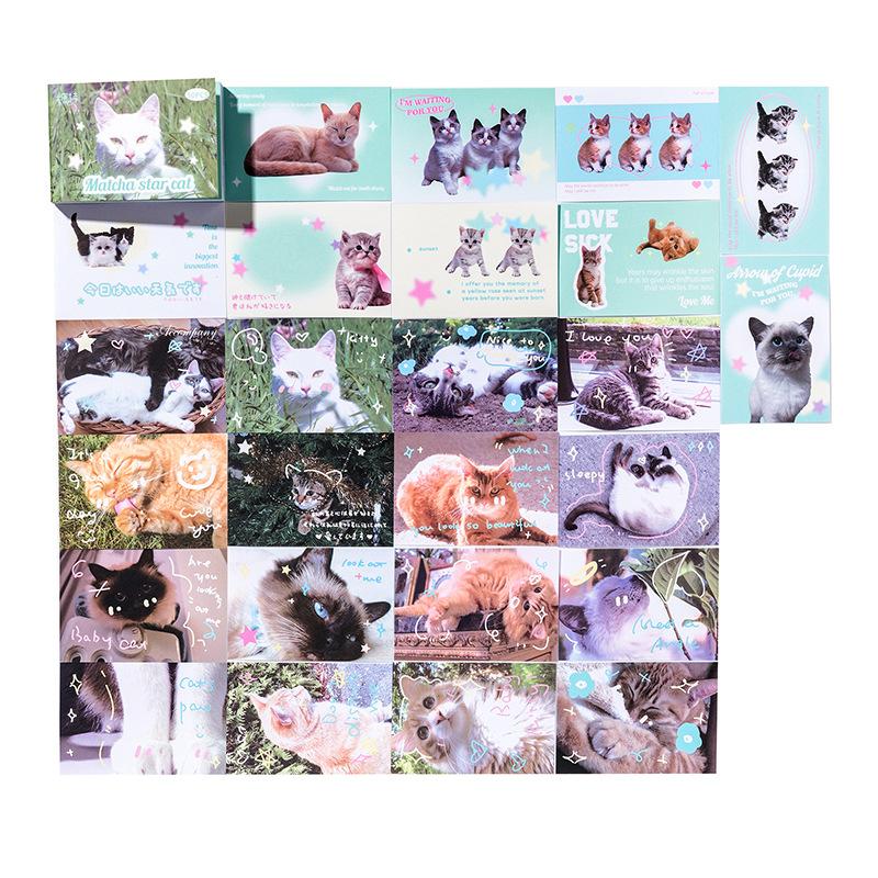 Kawaii Cat-klistremerke Søt jente-klistremerke Kawaii tegneserie prinsesse-pike-klistremerke Nydelig klistremerke for DIY dekorative utklippsbokflaske bagasje