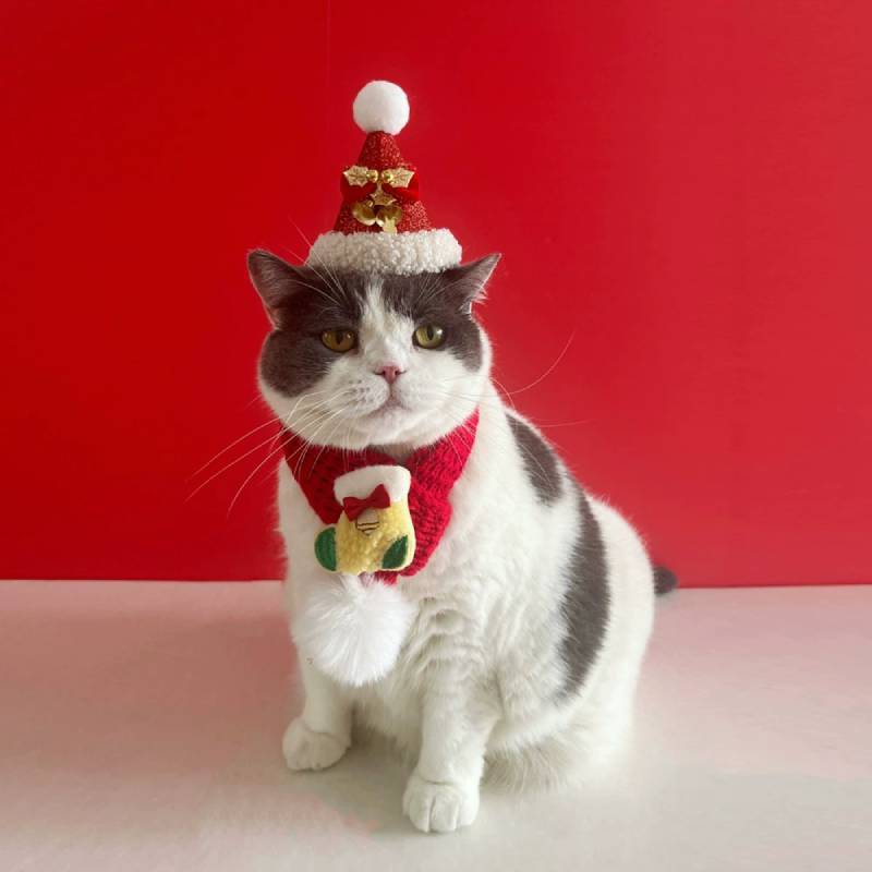Weihnachts-Haustierschal- und Hut-Set mit Cartoon-Rentier für kleine Hunde und Katzen