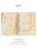 Korean Ballet-Inspired High-Waisted Ruffled Mesh A-Line Layered Skirt for Women, Autumn 2025