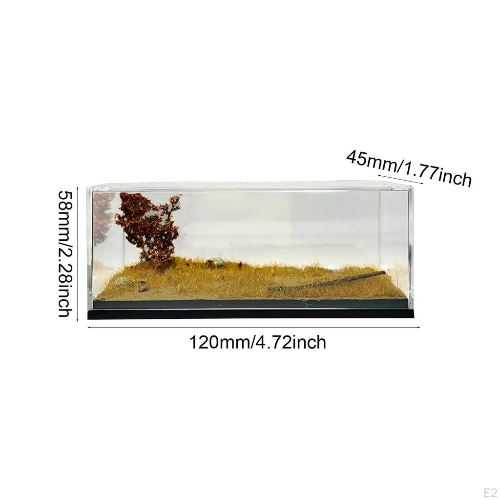 Model Car Display Case Storage Box 1:64 Micro Landscape Decor Decorative Photo Prop Scenes Parking
