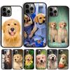 Labrador Puppy Dog Phone Case For iPhone 17 Air 15 16 Cover 11 13 14 Pro Max 12 Plus Max Fundas