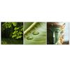 Set of Three Pictures Canvas Print Buddha Nature