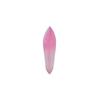 Saint Laurent Narrow Dome Resin Ring Women jewelry Pink 731982Y20009867