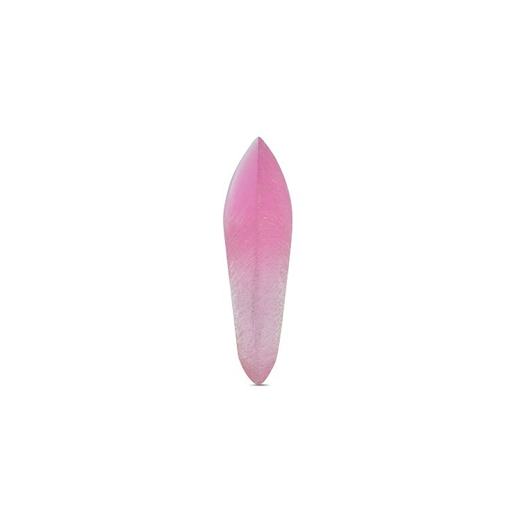 Saint Laurent Narrow Dome Resin Ring Women jewelry Pink 731982Y20009867