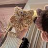 Cute Plush Kitten Hair Tie Sweet Cartoon Cat's Tail Scrunchies Hair Rope Back Of The Head Headband Hair Accessory Gift