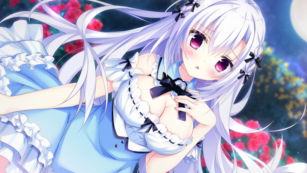 Kemonomichi Girlish Square Limited Edition PS4 B2 acrylic figure included - [Bonus] tapestry,