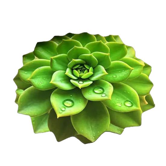 3D Flower Floor Mat Realistic Absorbent Flower Carpet Non-Slip Decorative Area