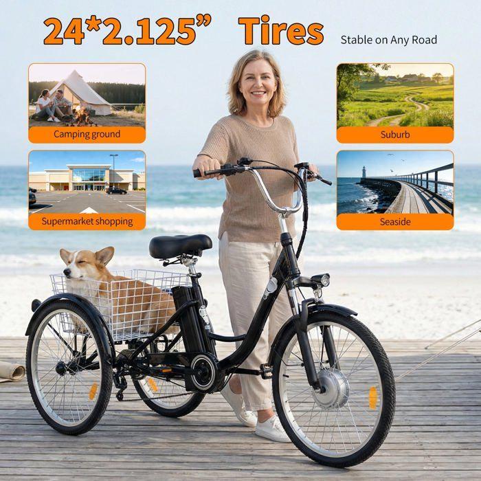 6MSKS 24" elektrische driewieler 250W krachtige motor 36v15ah afneembare batterij langste actieradius 31 mijl recreatie