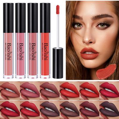 Brillo de labios de 12 colores, lápiz labial líquido mate, resistente al agua, mate, antiadherente, brillo de labios de larga duración, aceite de labios