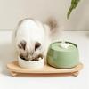 Fontanella per gatti in ceramica con ricarica USB e filtrazione automatica