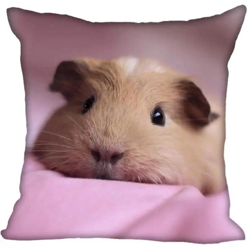 Living Room Pillowcase Guinea Pig   Modern Home
