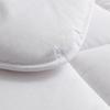 Luolai Warm Ginger Antibacterial Heating Winter Quilt