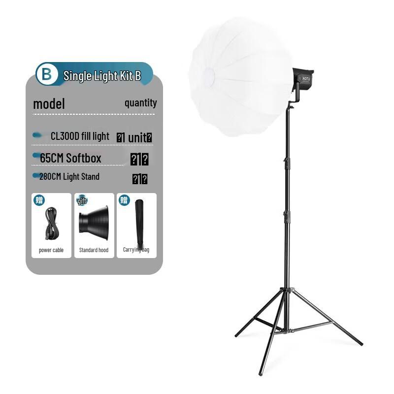 Miaotu CL300D LED Video Light