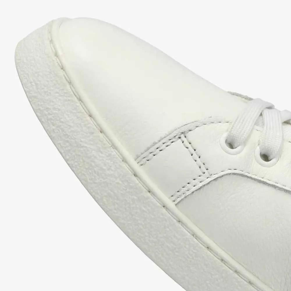 Groundies Sneakers Universe