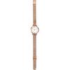 Fieldwork Women's Analog Watch YM131-4 Simple Energy-Saving Long-Lasting Battery Mesh Band 10mm Office Casual Fashion