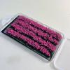 8mm 4 Stück Miniaturgrasbüschel Modellbahn Landschaftsmaterial Künstliche Feldfrüchte für Gartenlandschaft Diorama
