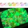 100Pcs 1.8Cm Mini Fluorescence Rainbow Duck Toy Cute Yellow Ducks Glow In The Dark Diy Handicraft Micro Landscape Decoration Toy