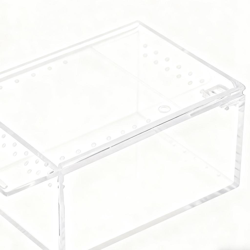 Spider Terrarium Transparent Gecko Breeding Tank Acrylic Snake Enclosure For Lizard Frog Gecko Snail Turtle Observation Breeding