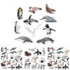Arctic Animal Pvc Polar Bear Penguin Model Set With Realistic Wildlife Figures For Educational Display