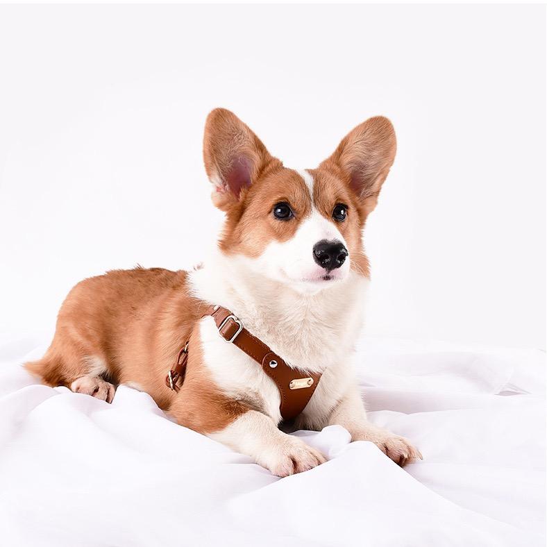 Hot Popular High Quality Adjustable Soft Leather Dog Harness Vesr Dog Leash Collar For Pets Supply