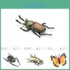 Detailed Pvc Insect Figurine Collection Including Butterflies Ants Beetles Spiders And Roaches For Home Decor