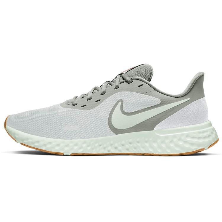 Nike Revolution 5 Platinum Tint Grey Fog Men s BQ3204-019 EU 44