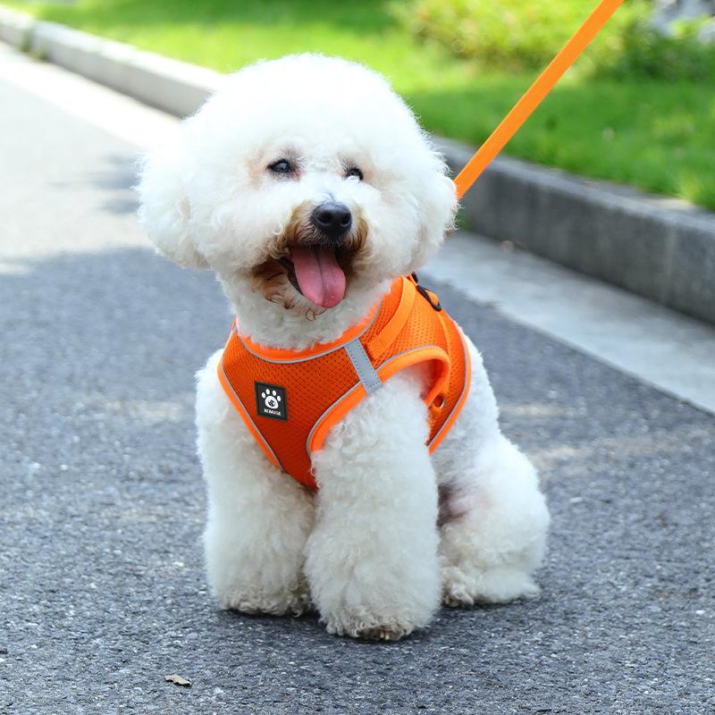 Cat leash anti-break free vest type Internet celebrity walking cat rope British short go out special cat chain pet chest strap