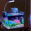 PS Small Fish Tank Aquarium Tank With LED Light Wall Mounted Filter Anti Slip Base Square Aquarium Starter Kits For Living Room